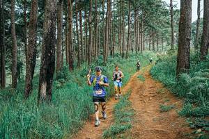 BIB: 
                            <button type="button" onclick="openModal(25661676)" class="btn btn-primary btn-sm float-right btn-popup" data-toggle="modal" data-target=".modal-high-quality">
                        <i class="fas fa-shopping-cart"></i> Add to Cart
                    </button>
                                            <button type="button" onclick="isThisMe(25661676, true)" class="btn btn-success btn-sm float-right btn-popup btn-isme hidden" data-toggle="tooltip" data-placement="bottom" title="นี่คือรูปของคุณใช่ไหม คลิกที่นี่เพื่อเอาเข้าอัลบั้ม">
                        <i class="fas fa-plus"></i> Add to album
                    </button>
                    <button type="button" onclick="isThisMe(25661676, false)" class="btn btn-warning btn-sm float-right btn-popup btn-isnotme hidden">
                        <i class="fas fa-ban"></i> Remove from album
                    </button>